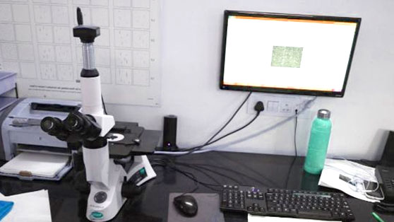 Computer Science & Engineering Department